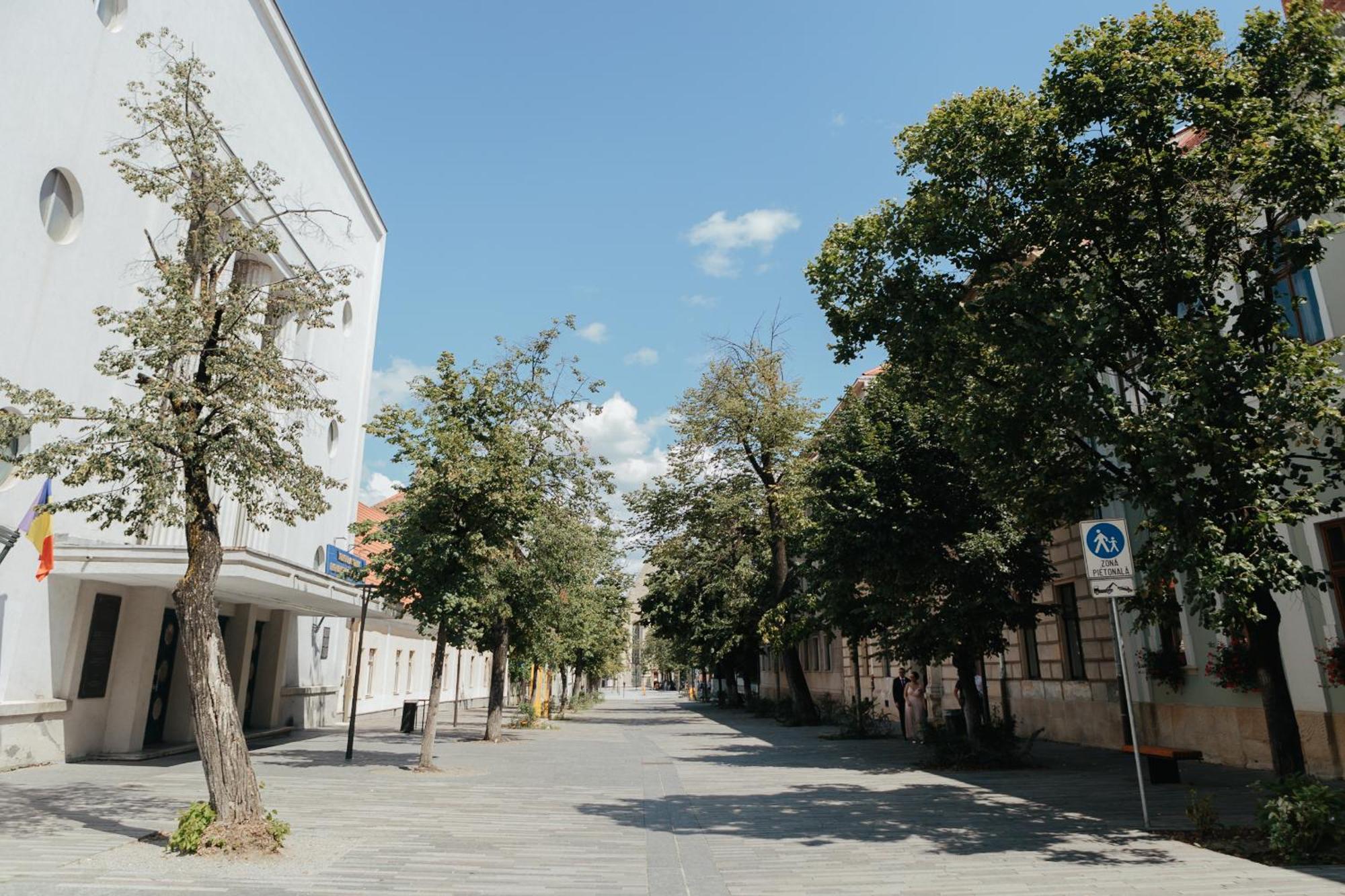 Contessa Apartment Cluj Napoca ภายนอก รูปภาพ
