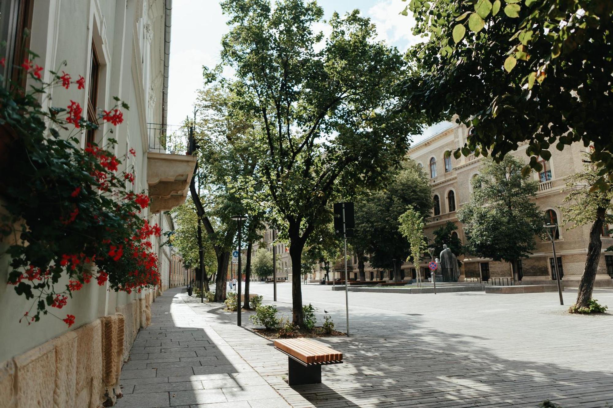 Contessa Apartment Cluj Napoca ภายนอก รูปภาพ