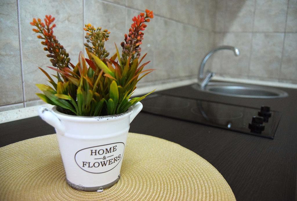 Contessa Apartment Cluj Napoca ภายนอก รูปภาพ